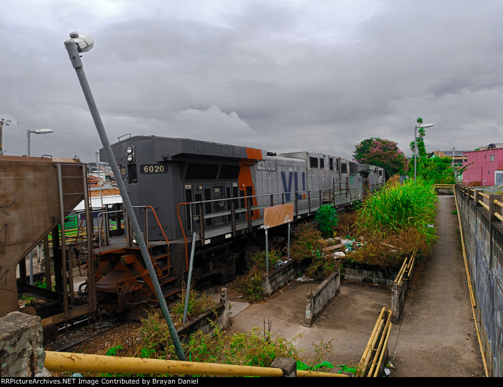 VLI 6020